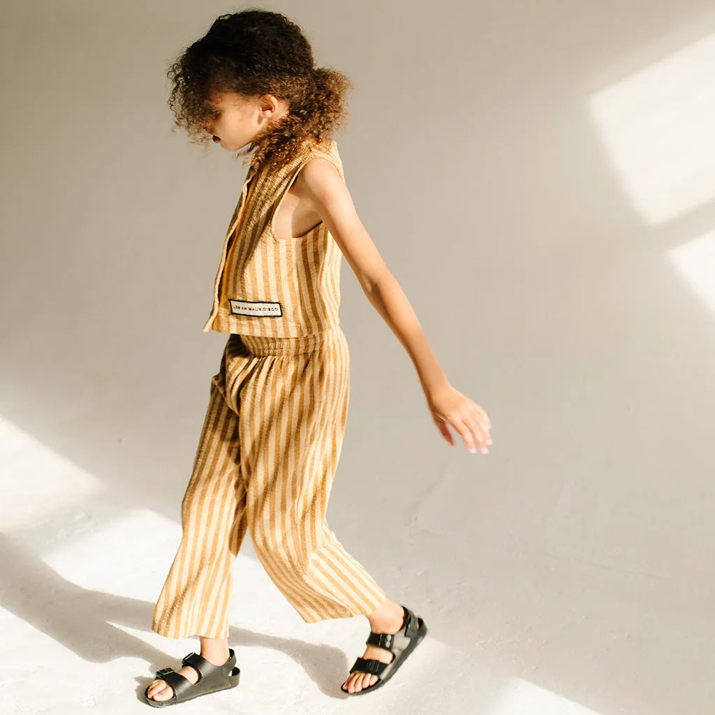Pant Terry Ubiquity Lion Stripe
